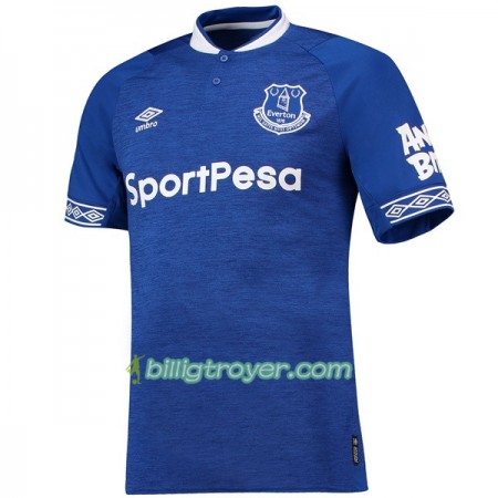 Billige Fotballdrakter Everton Hjemmedraktsett 2018/19 Kortermet